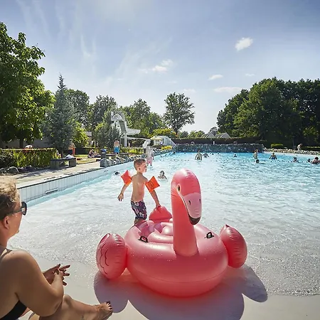 In Limburg With Subtropical Pool *