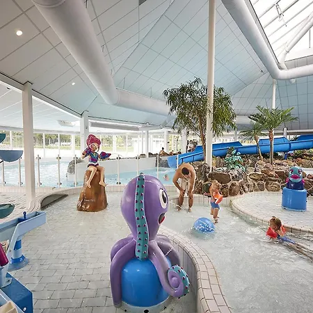 In Limburg With Subtropical Pool Villa Roggel